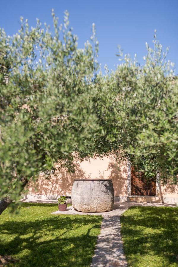 Bed and Breakfast Bb Olive Seget  Exterior foto